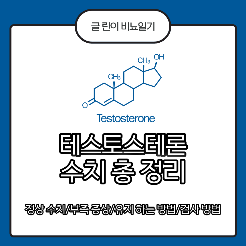  테스토스테론 수치 총 정리 : 정상 수치/부족 증상/유지 하는 방법/검사 방법