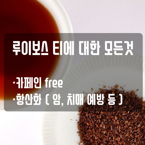  루이보스티 진실 혹은 거짓_팩트체크 (+효능, 부작용 등)