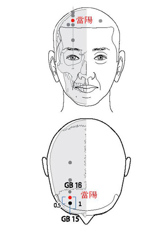 경외기혈(EX) > EX-HN2 당양 (當陽) 1