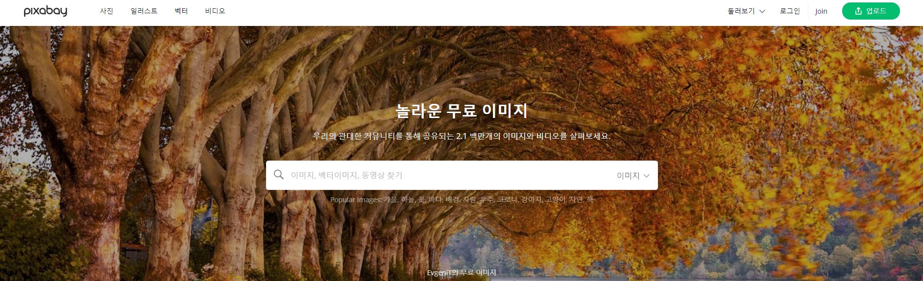  저작권