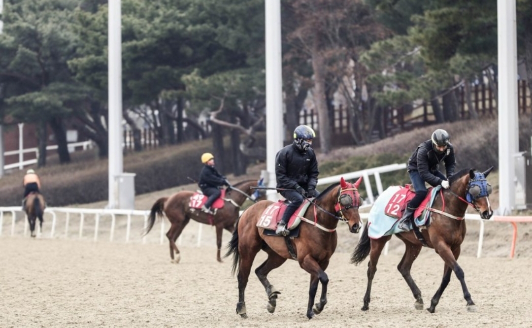  마사회 경마 재개 19일부터