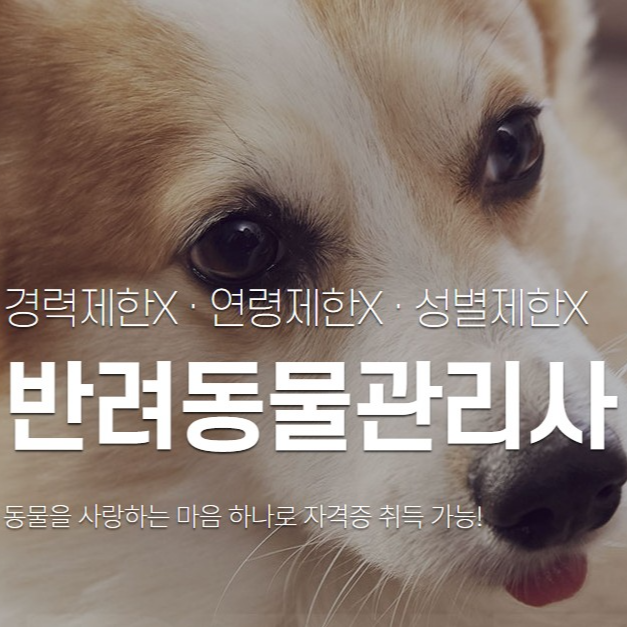  반려동물관리사 자격증