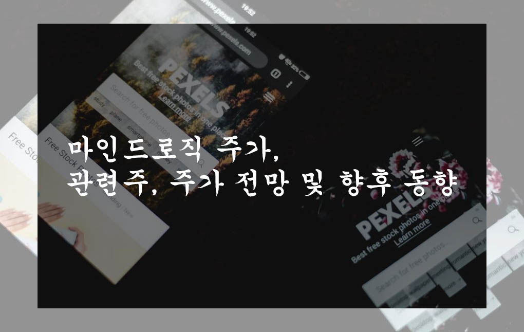  마인드로직 주가, 관련주, 주가 전망 및 향후 동향