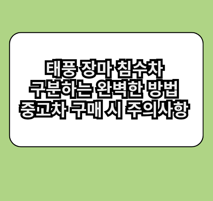 태풍장마침수차구분한느완벽한방법