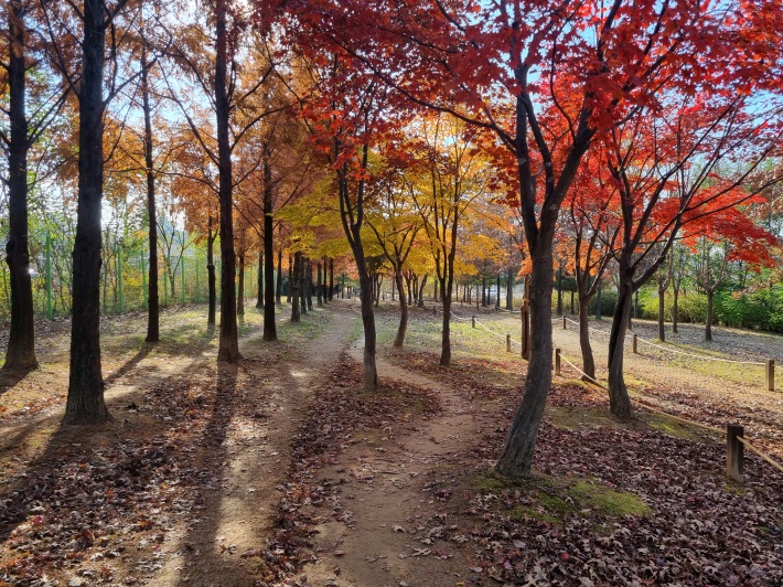 산책로