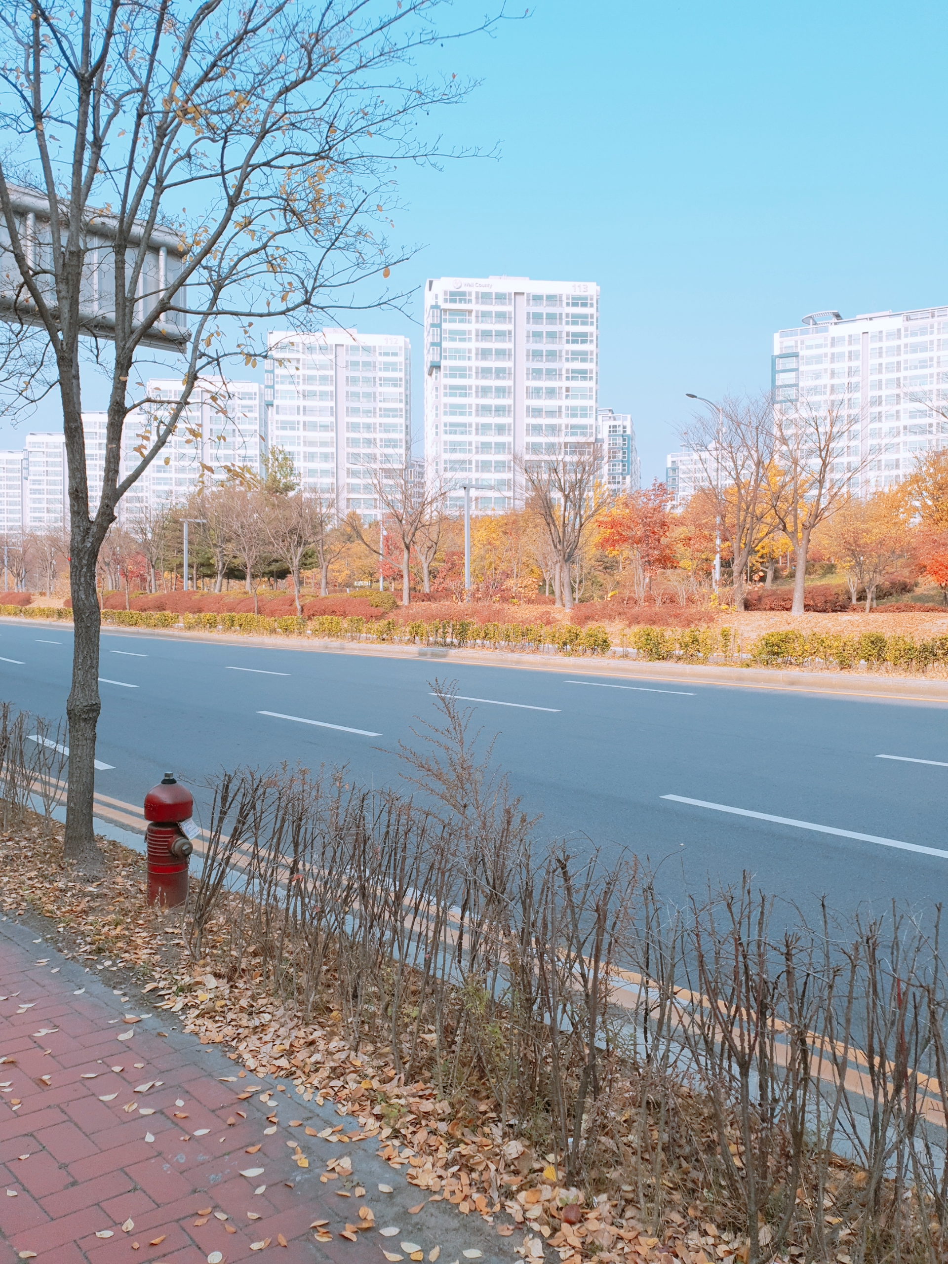  섬유근육통 치료기 2 (섬유근육통일기14)
