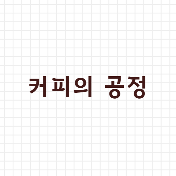  커피의 공정 한눈에 보기