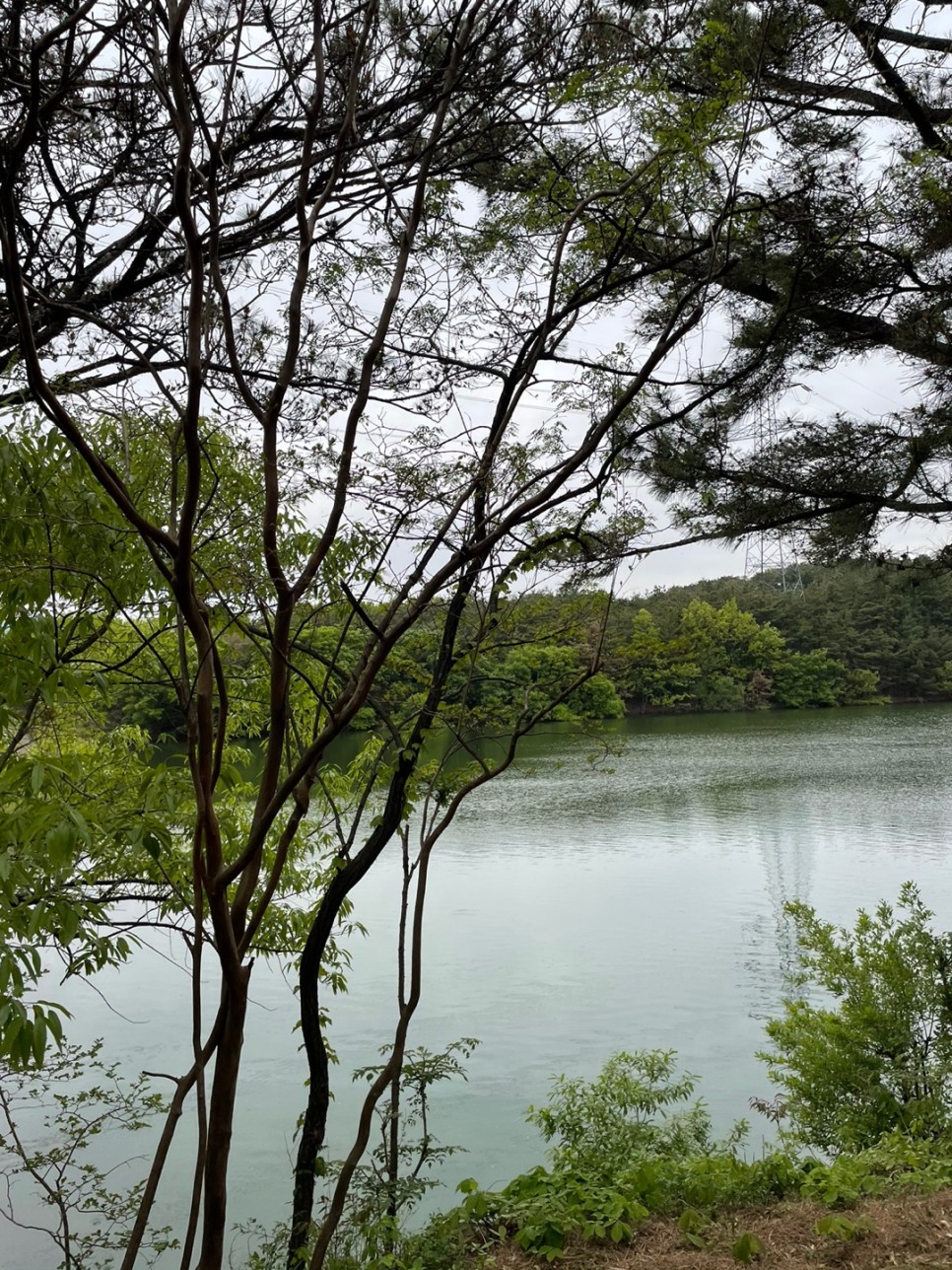 윤스테이 촬영 (구례카페/구례여행) 윤스테이 촬영장소, 13