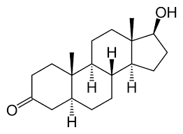 남성호르몬 테스토스테론