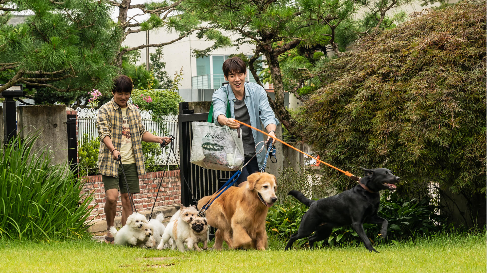 유연석, 차태현의 강아지 1