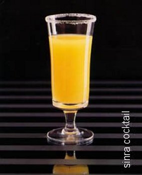  솔티 도그(Salty Dog)