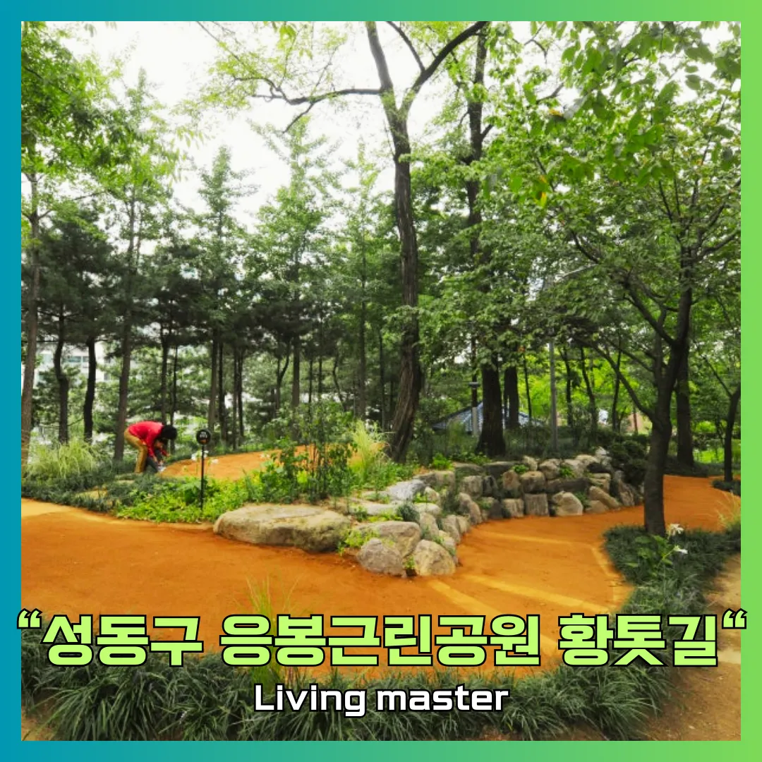 성동구 응봉근린공원 황톳길을 소개합니다.