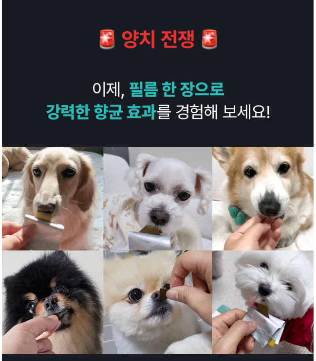 덴탈 뉴트리냠냠 제품 강아지 구강 영양제2