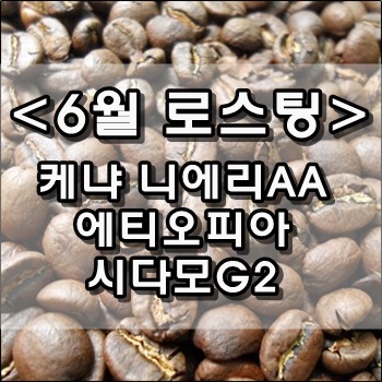  6월 첫 홈로스팅 케냐AA, 시다모G2