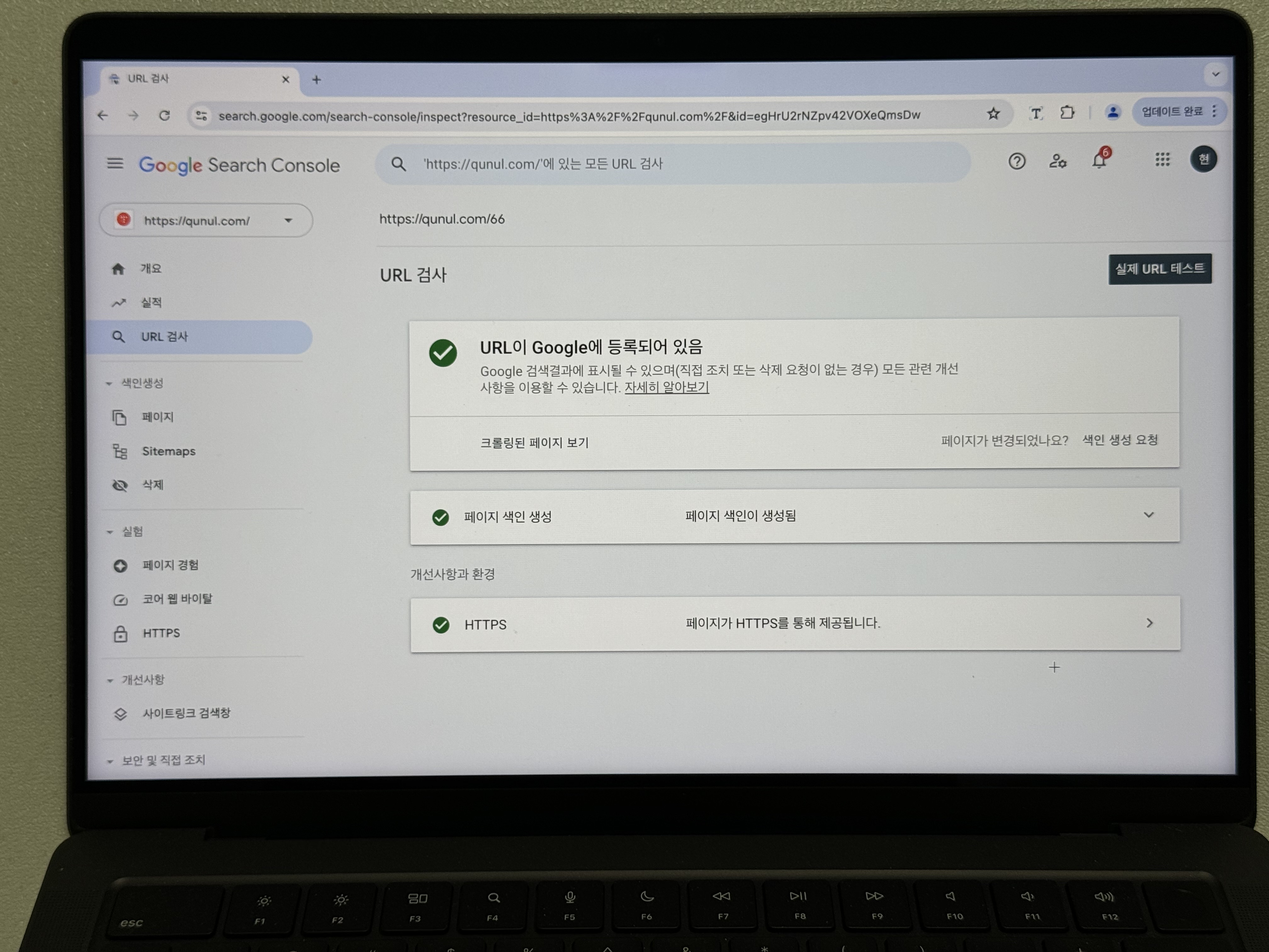 구글 서치콘솔 URL 검사 색인 생성된 페이지 사진