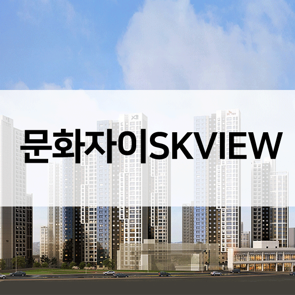 문화자이SKVIEW-1