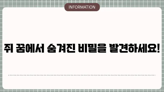 꿈 해몽으로 나만의 인사이트 얻기