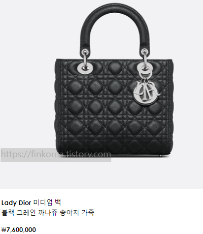  디올 레이디백 사이즈, 종류 및 가격 정리