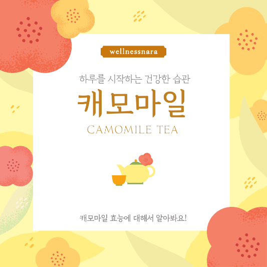  캐모마일(Chamomile) 효능과 부작용, 아침 차 한 잔으로 챙기는 건강!