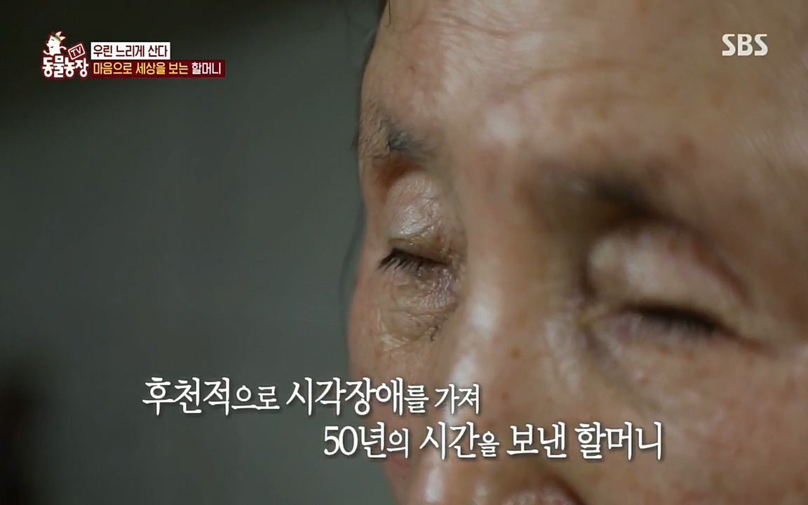 TV 동물농장.E1076.220704p.H264-F1RST.mp4_20220703_175605.918.jpg