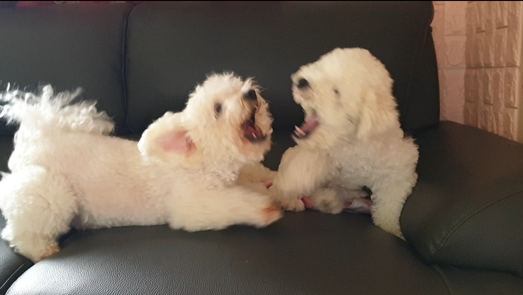  내가 졌다!!