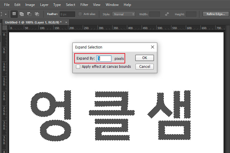 선택 영역 확장