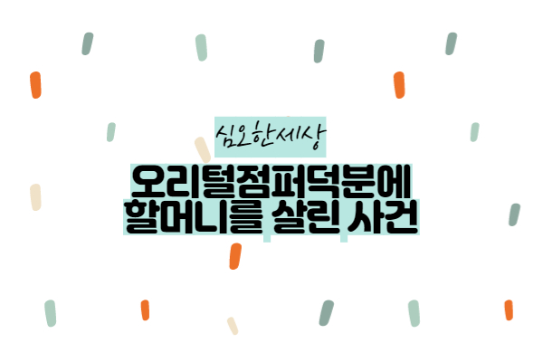  오리털점퍼가 할머니를 살린 사건