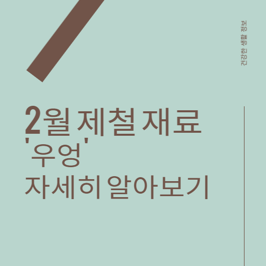 2월 제철 식재료 우엉 효능