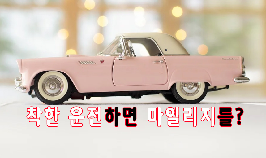  무사고 무위반 서약하면 마일리지? 착한운전 벌점 감면  9월 정책 장롱면허 면허정지 범칙금 과태료