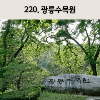 숨겨진 힐링 명소로 떠나는 포천 광릉수목원 완전 정복 가이드북 2025_2