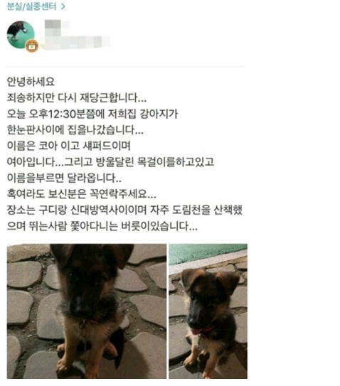  당근마켓의 순기능.jpg
