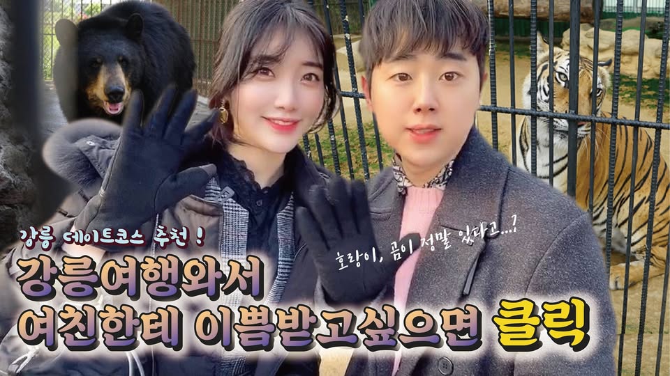 강릉 쌍둥이 동물농장