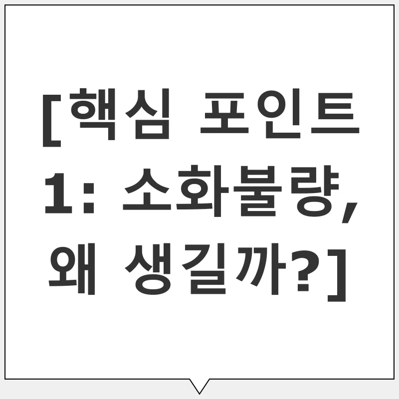 소화불량 관리_1