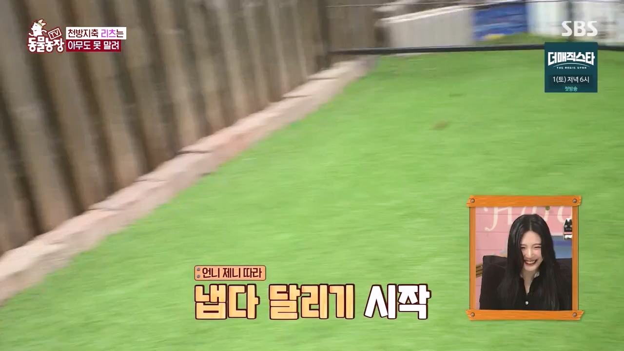 TV 동물농장.E1173.240527p-NEXT.mp4_20240526_155710.460.jpg