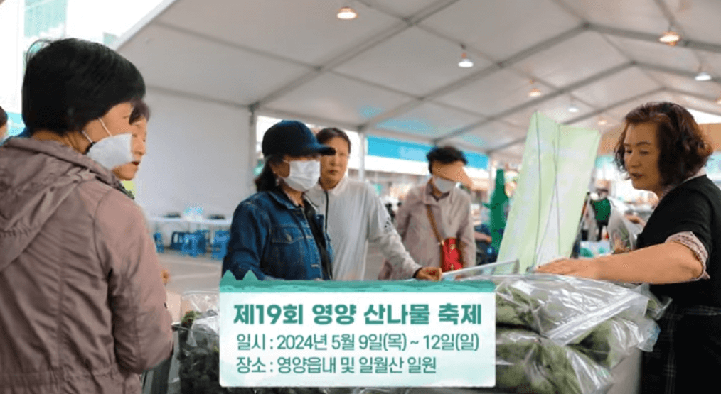 영양 산나물축제날짜 가수 주차 2024