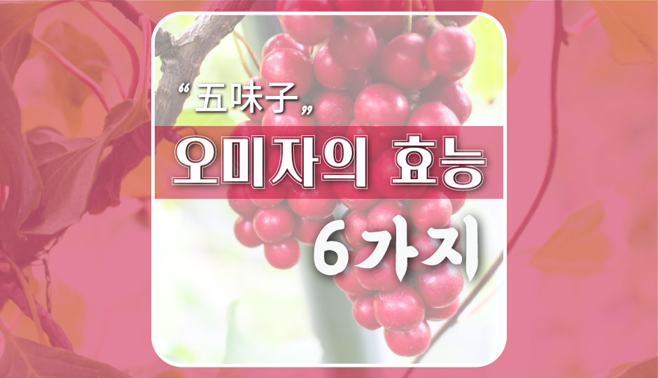  [오미자의 6가지 효능] 피로할땐 다섯가지 맛을 내는 오미자청을 마시자
