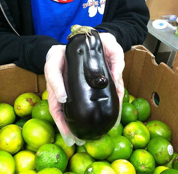 img.jpg