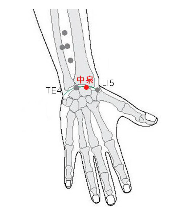 경외기혈(EX) > EX-UE3 중천 (中泉) 1