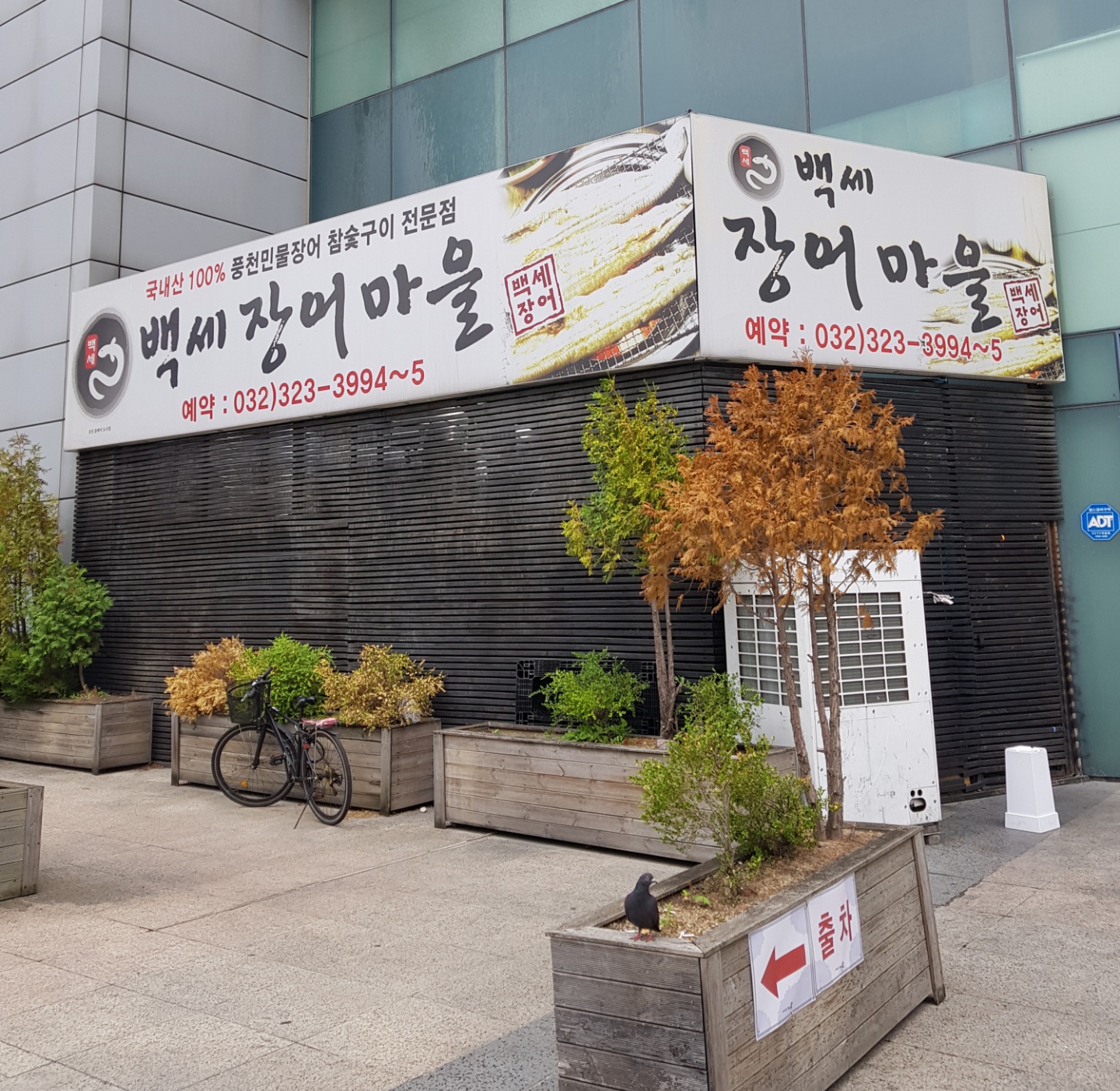 풍천백세민물장어 이미지