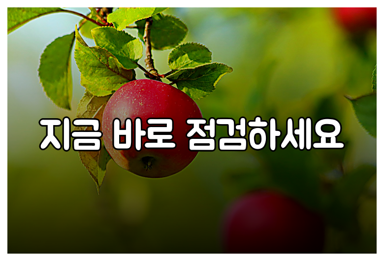 지금 바로 점검하세요
