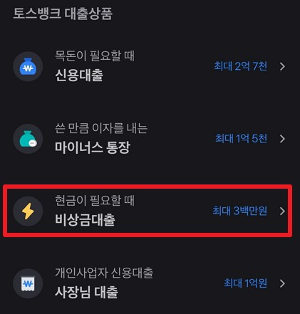 토스 비상금대출