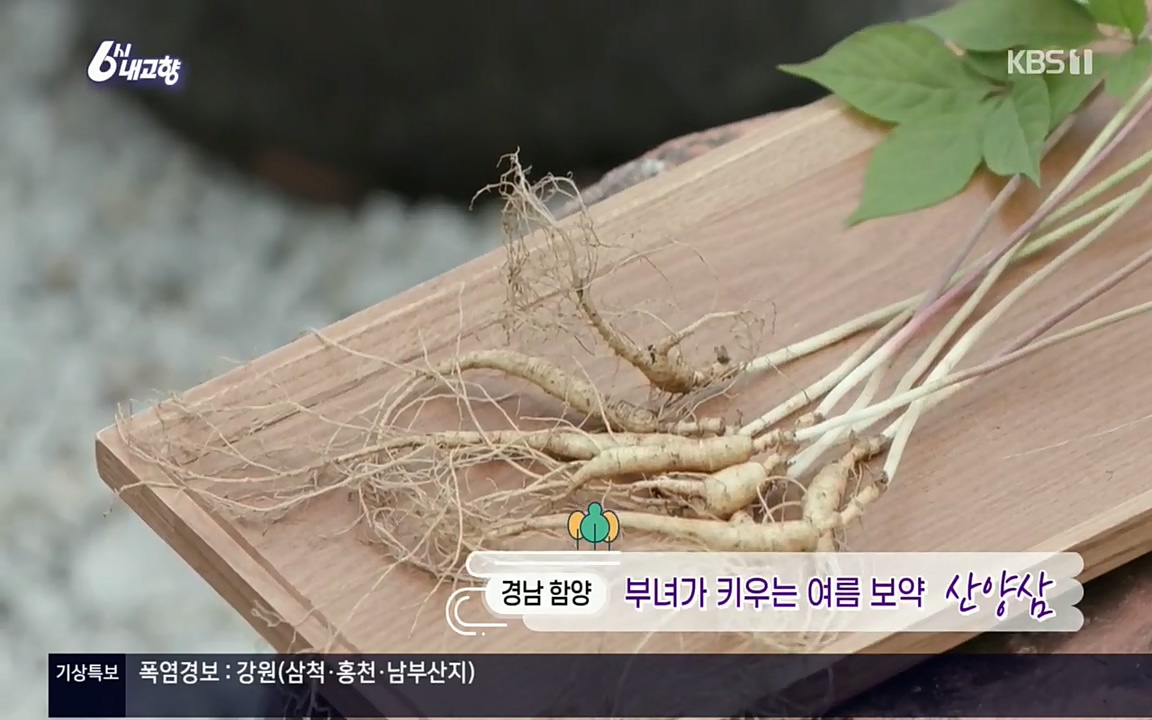 6시 내고향.E7571.220709p.H264-F1RST.mp4_20220709_171647.867.jpg
