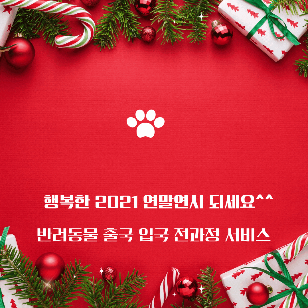  고양이미국운송 고양이미국검역 고양이JFK카고 고양이해외운송서비스 반려묘해외출국 고양이만해외로보내기 스코티쉬폴드 단두종 고양이해외운송 반려동물카고서비스 고양이뉴욕운송 고..