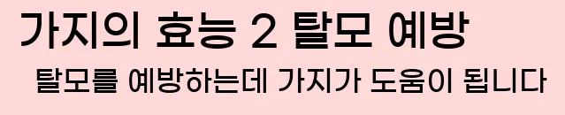  가지의 효능 2 탈모 예방 탈모를 예방하는데 가지가 도움이 됩니다