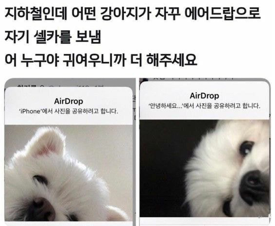  커요밍 동물들 사진.zip