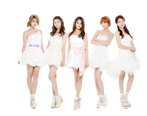 치치 이미지
