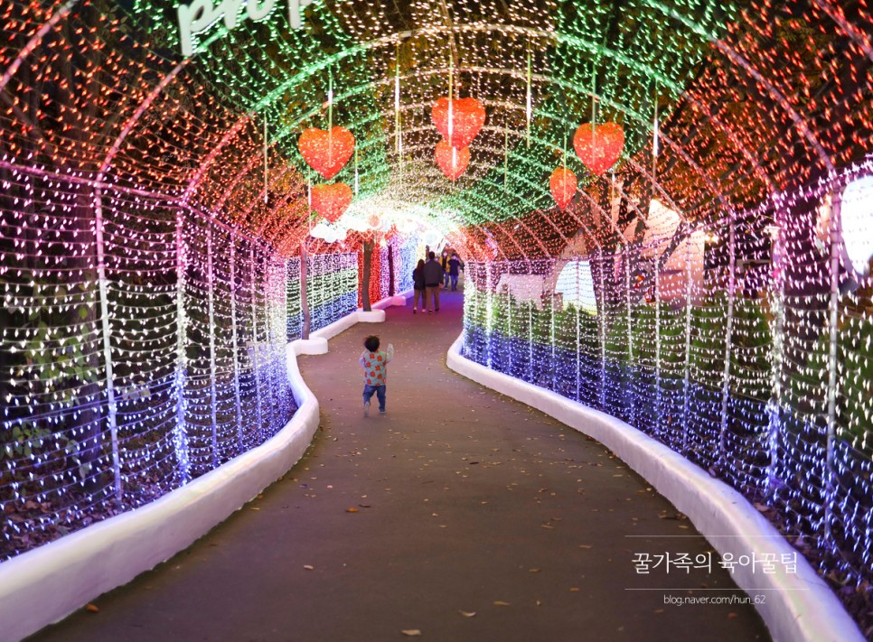 경북 축제 경북 아이와가볼만한곳 청도 39