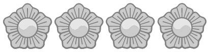 경찰계급 총경