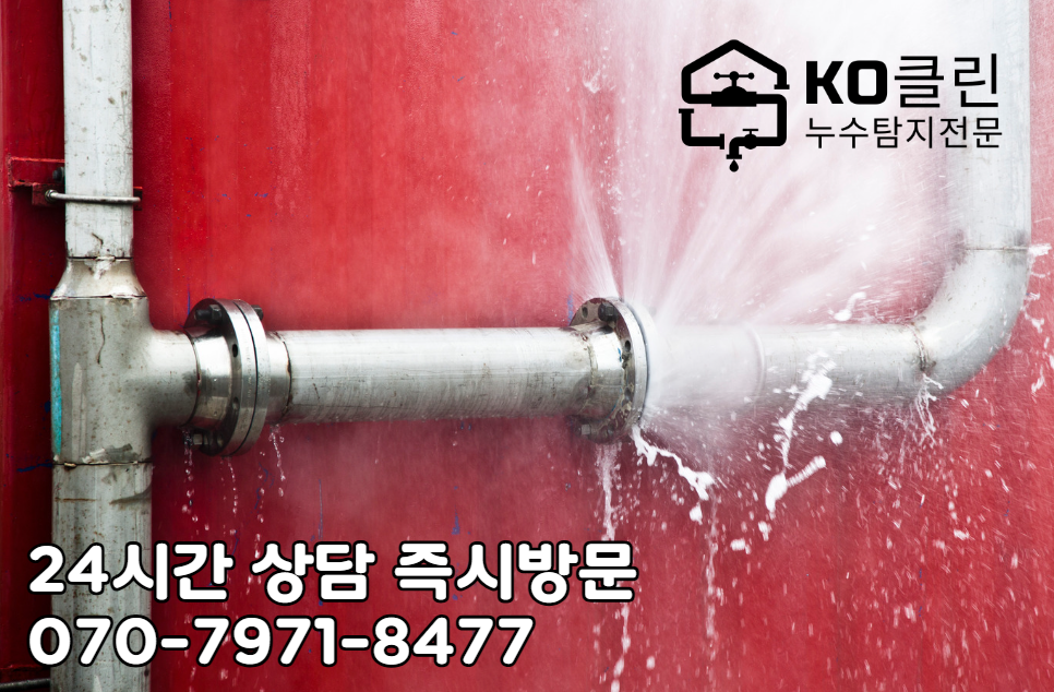 일산 마두시장 누수탐지1