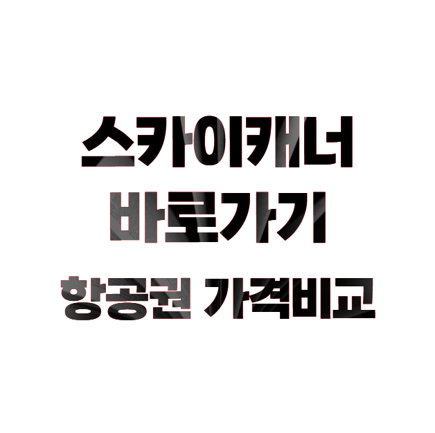 스카이캐너 바로가기